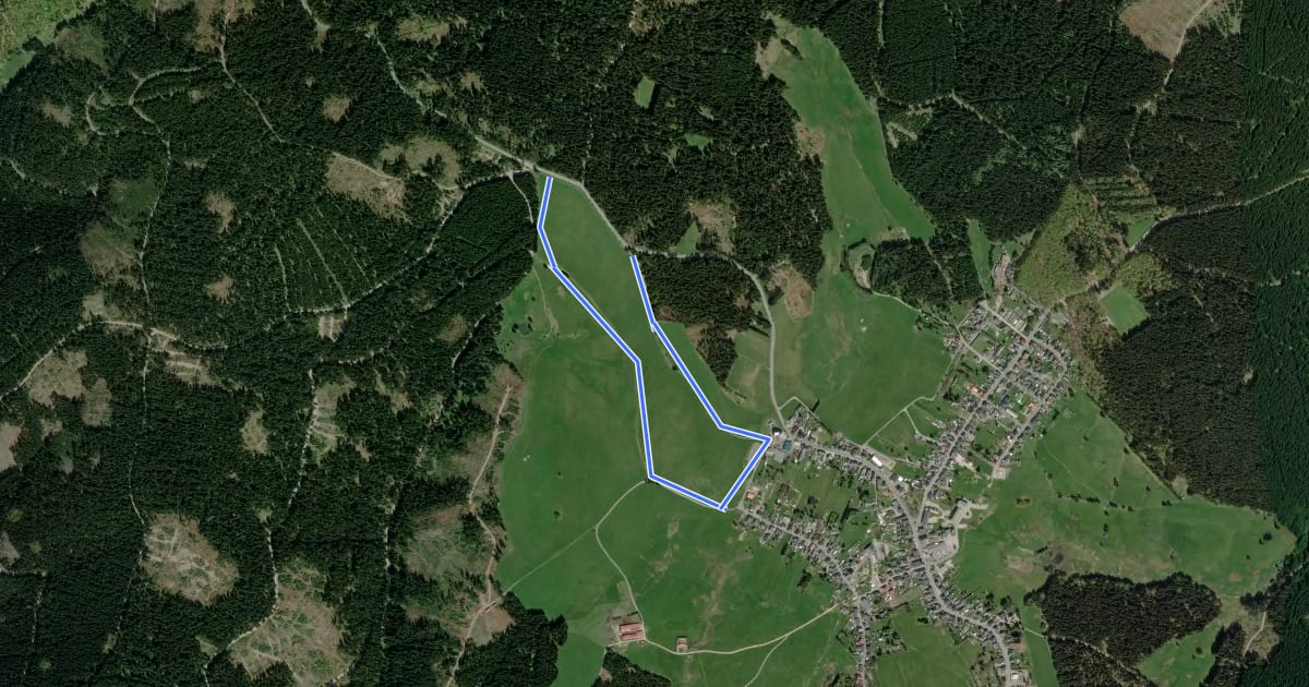 Маршрут Bergwiesenloipe на спутниковом снимке