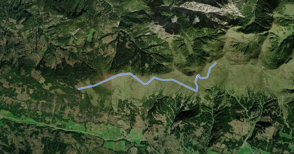 Маршрут Bergwiesentrail Singletrail на спутниковом снимке