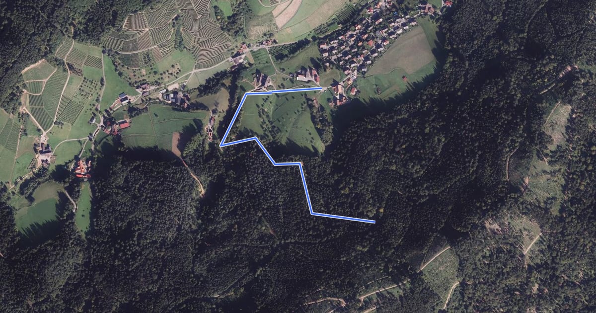 Маршрут Bermersbach Hausmatt - Im Dornbusch на спутниковом снимке