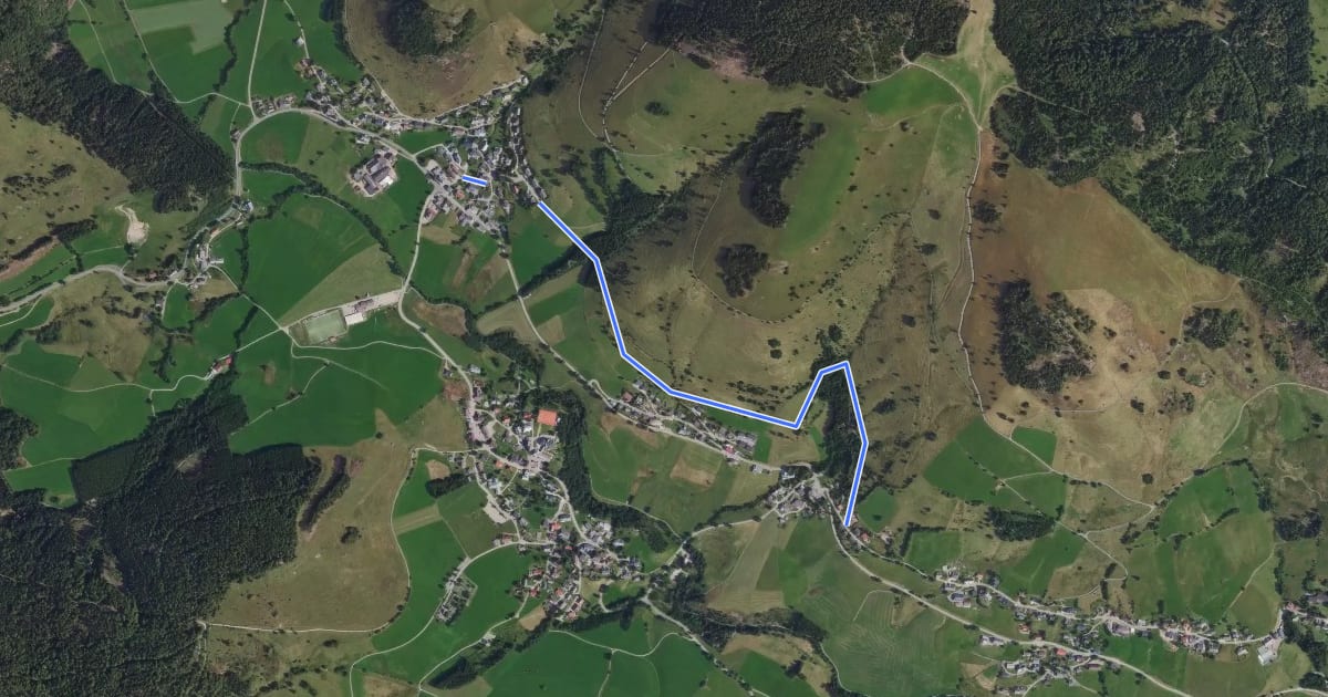 Маршрут Bernau-Dorf - Riggenbach на спутниковом снимке
