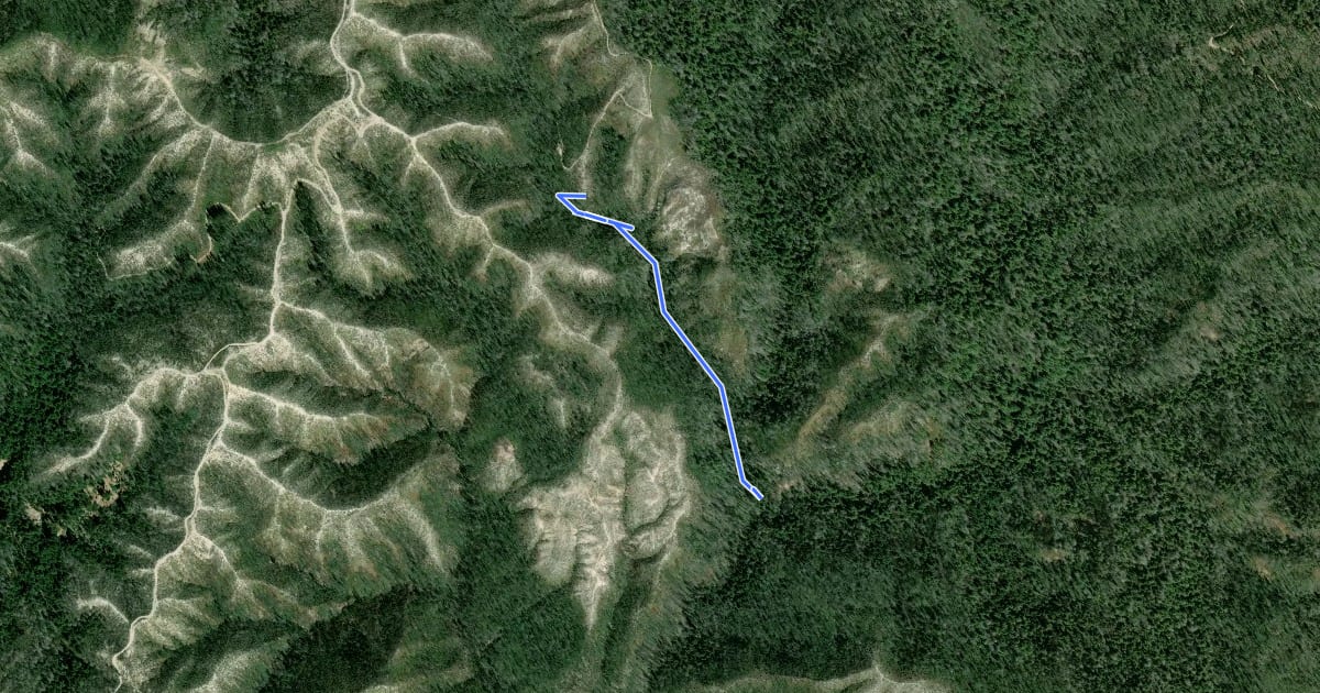 Маршрут Berry Creek Falls Trail на спутниковом снимке