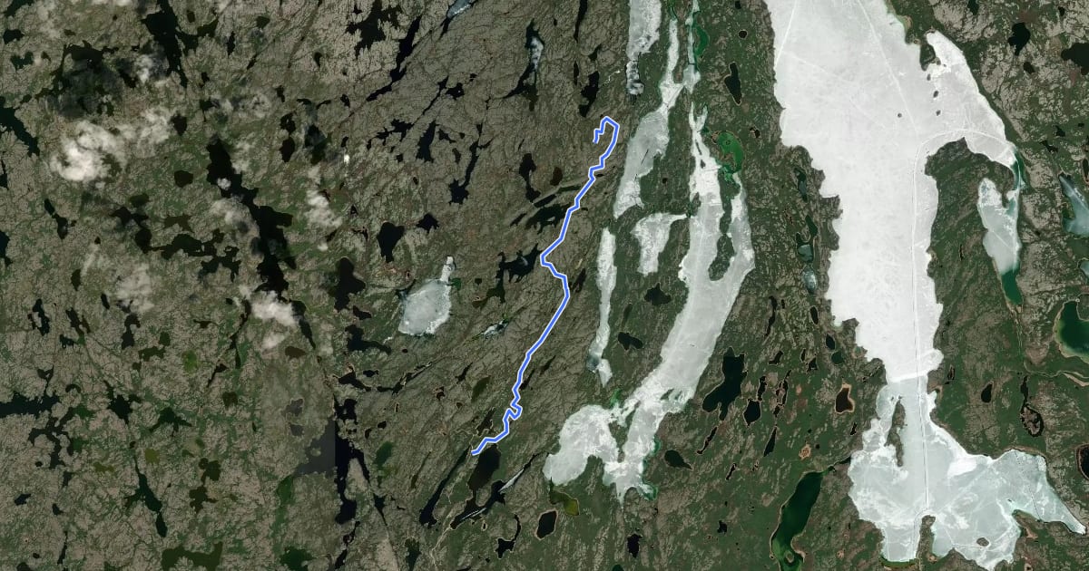 Маршрут Berry Hill Trail на спутниковом снимке