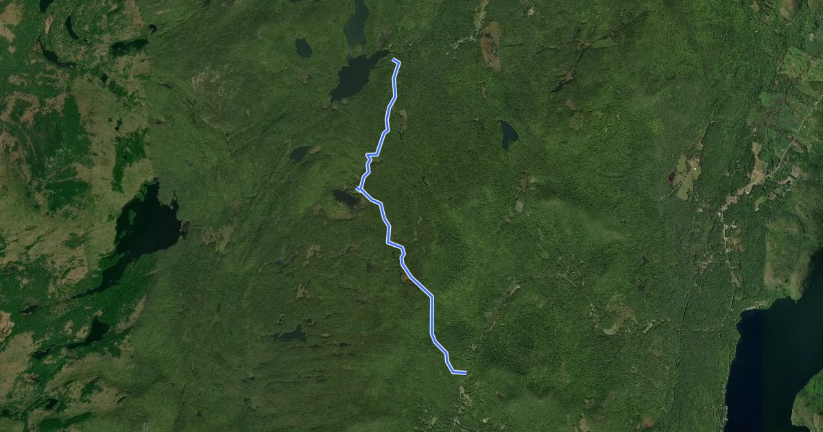 Маршрут Berrymill Pond Trail на спутниковом снимке