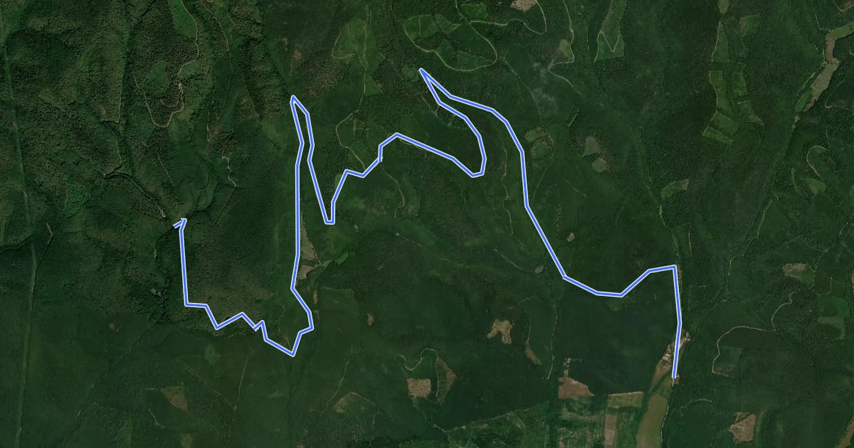 Маршрут Berva-völgy - Egeres-völgy MTB на спутниковом снимке
