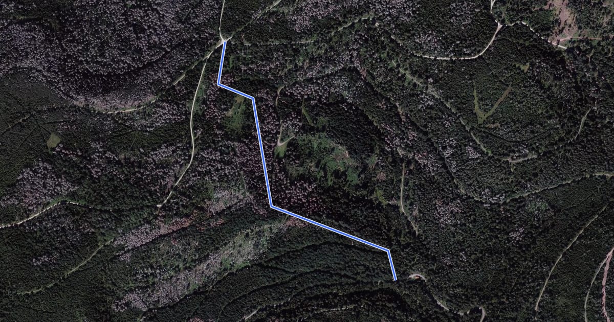 Маршрут Überzwercher Berg - Flößerhütte на спутниковом снимке