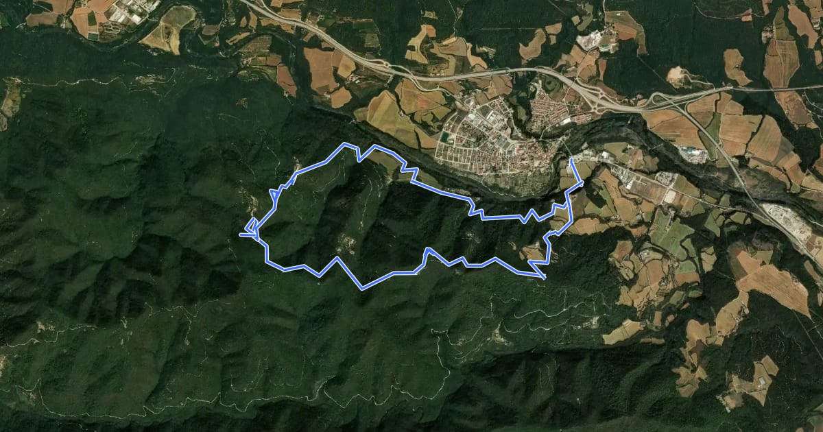 Маршрут Besalú al Puig Cornador i el Santuari de Sant Ferriol на спутниковом снимке