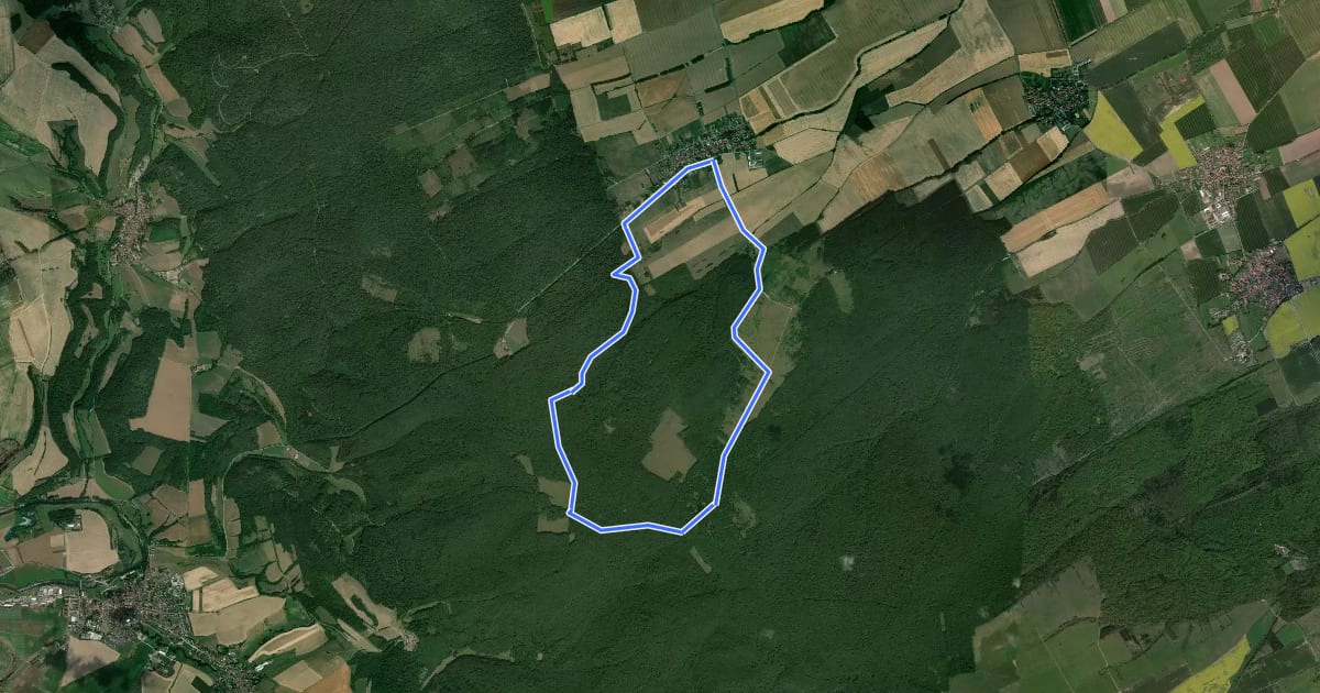 Маршрут Betteleichenweg на спутниковом снимке