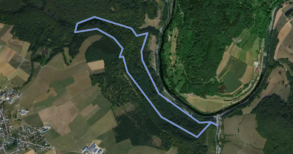Маршрут BH Saueruecht Hiking Tour на спутниковом снимке