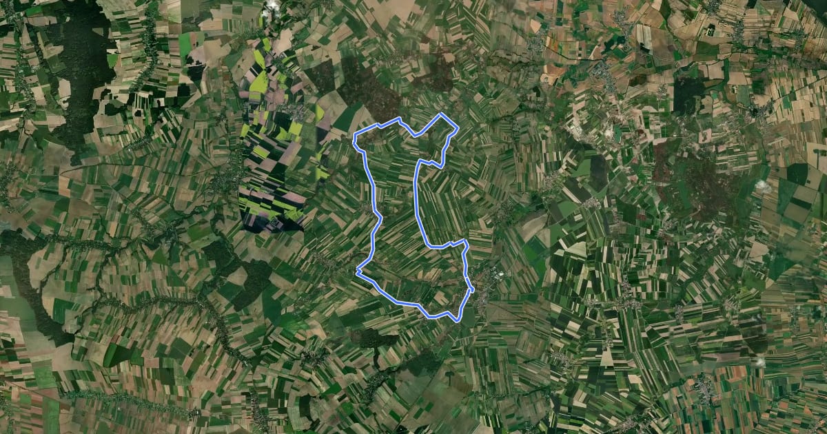 Маршрут Biała – Wasiłowice – Grabina – Kol. Otocka – Puszyna – Pleśnica – Śmicz – Miłowice – Prężyna – Biała. на спутниковом снимке
