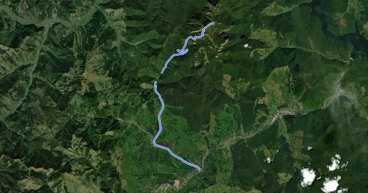 Маршрут Bicazu Ardelean – Șaua la Pălărie – Cabana Dochia (blue stripe) на спутниковом снимке