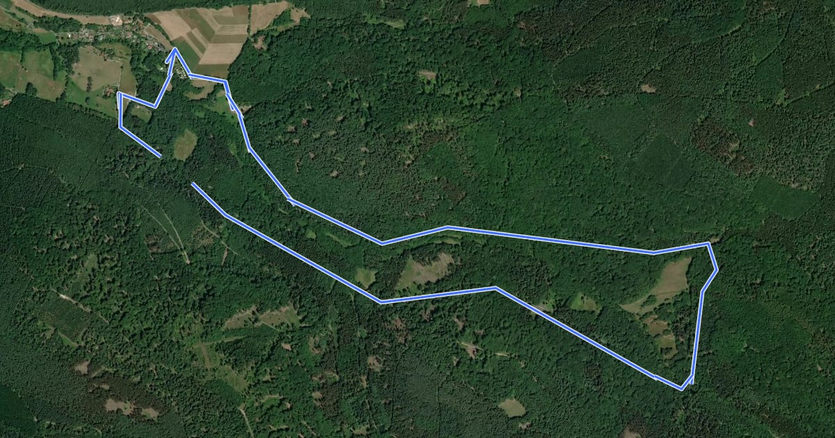 Маршрут Biebergemünd - Rundwanderweg Bg 1 на спутниковом снимке