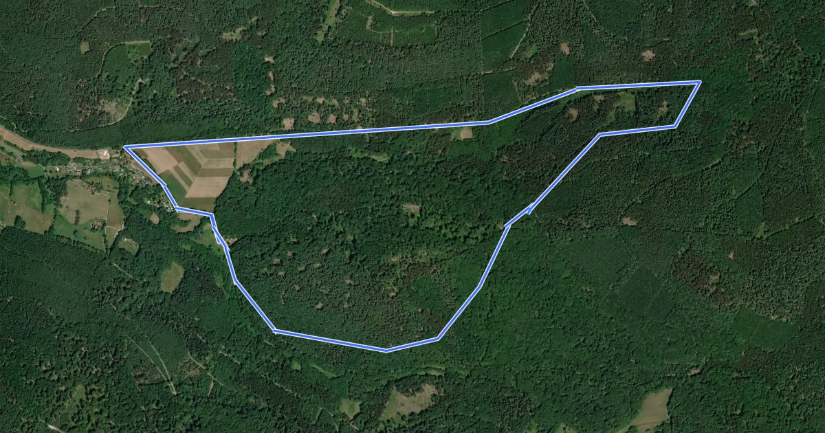 Маршрут Biebergemünd - Rundwanderweg Bg 2 на спутниковом снимке