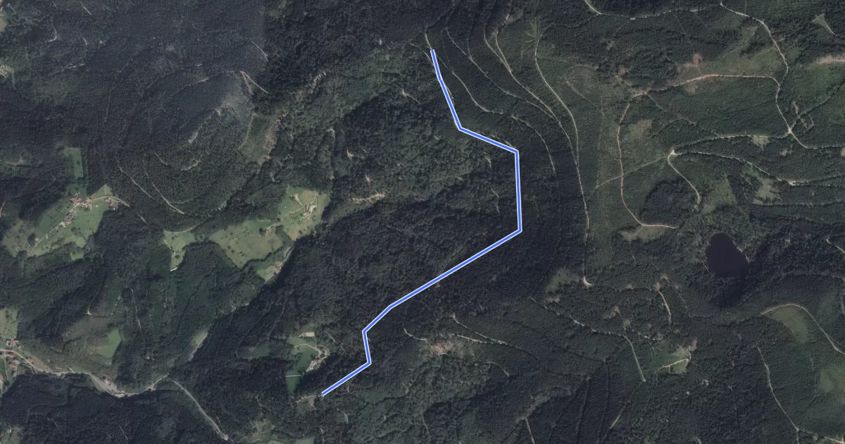 Маршрут Bierlessteinweg - Palmspringseck на спутниковом снимке