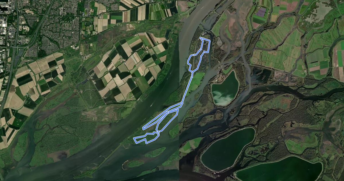 Маршрут Biesboschpad - Dagwandeling Jantjesplaat на спутниковом снимке