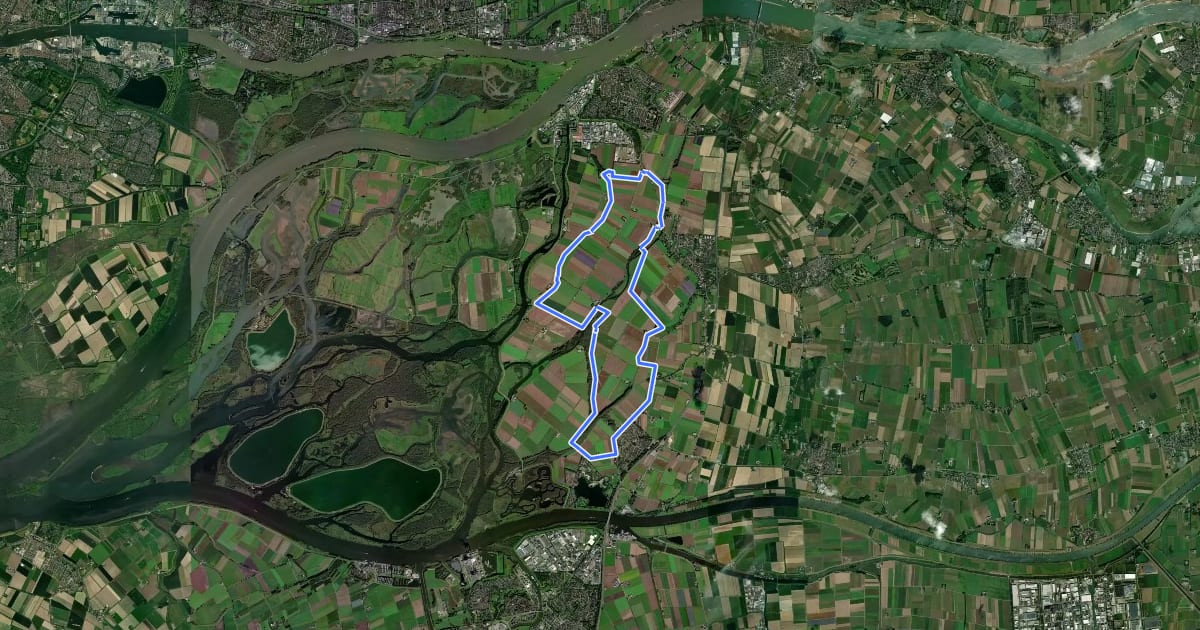Маршрут Biesboschpad - Dagwandeling Oostwaardpad на спутниковом снимке
