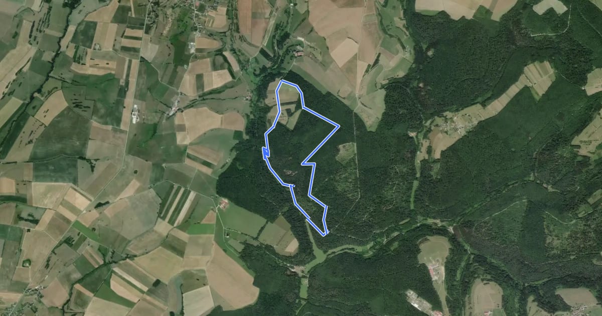 Маршрут Big Bining Oak circular hike на спутниковом снимке