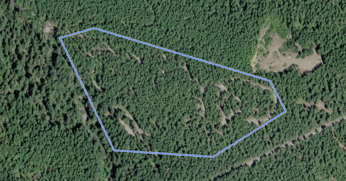 Маршрут Big Creek Campground Trail #827 на спутниковом снимке
