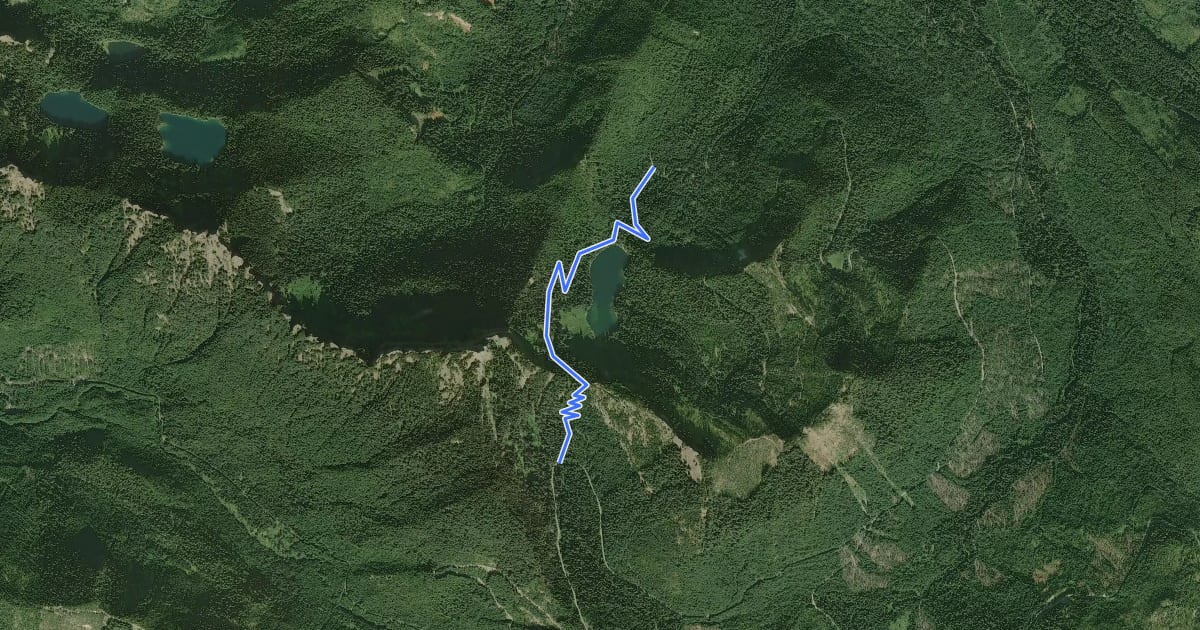 Маршрут Big Creek Trail #252 на спутниковом снимке