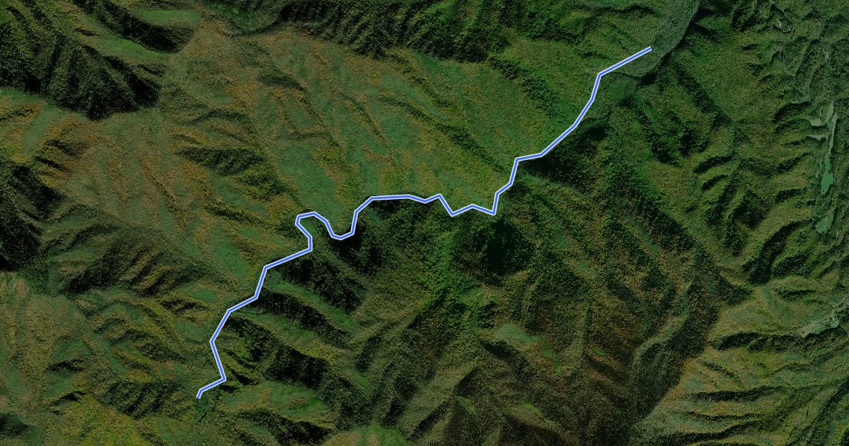 Маршрут Big Creek Trail на спутниковом снимке
