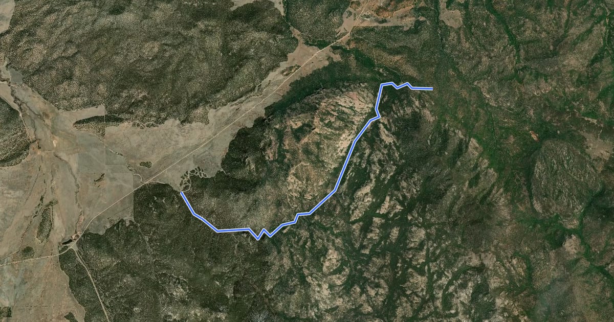 Маршрут Big Hollow Trail на спутниковом снимке