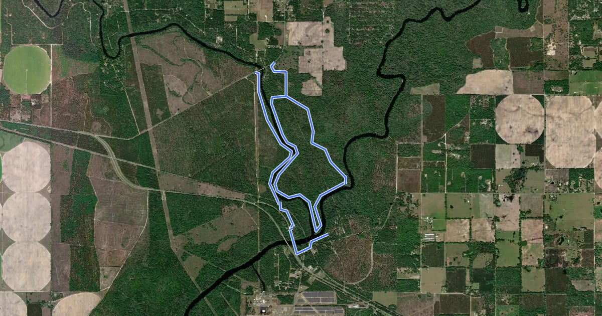 Маршрут Big Oak Loop Trail на спутниковом снимке