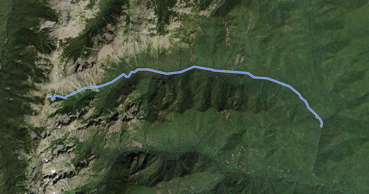 Маршрут Big Quilcene Trail #833 на спутниковом снимке