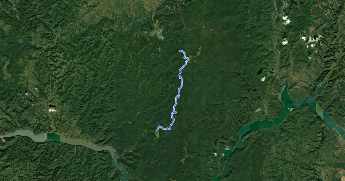 Маршрут Bigăr – Svinecea Mare (green turist path) на спутниковом снимке