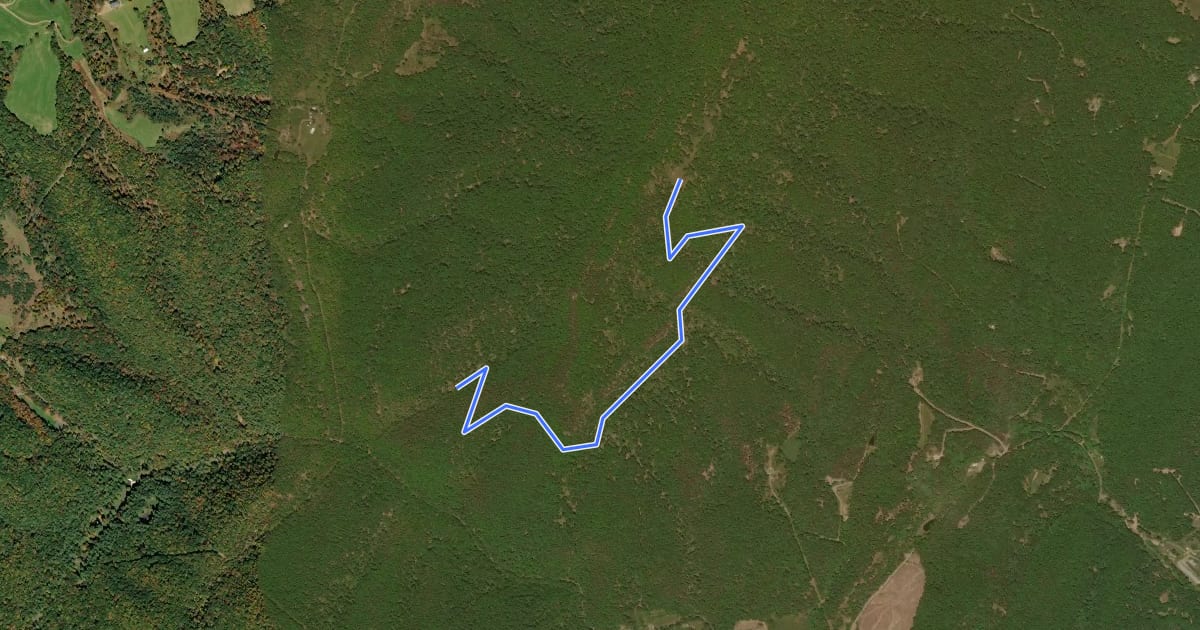 Маршрут Big Ridge Trail на спутниковом снимке