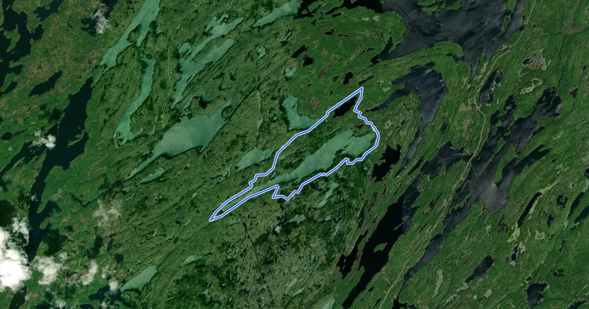Маршрут Big Salmon Lake Loop на спутниковом снимке