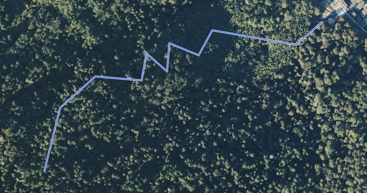 Маршрут Big Tree Ridge Trail на спутниковом снимке