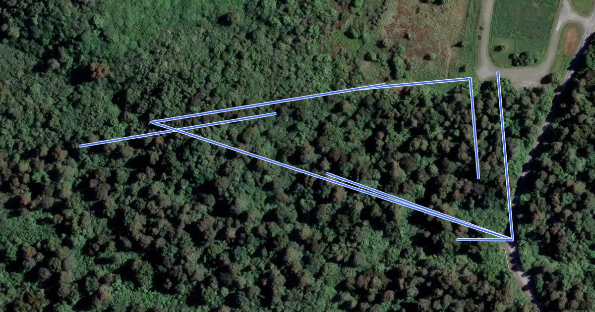 Маршрут Big Tree Walk на спутниковом снимке