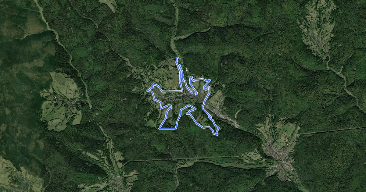 Маршрут Bikewald.de Route 2 на спутниковом снимке