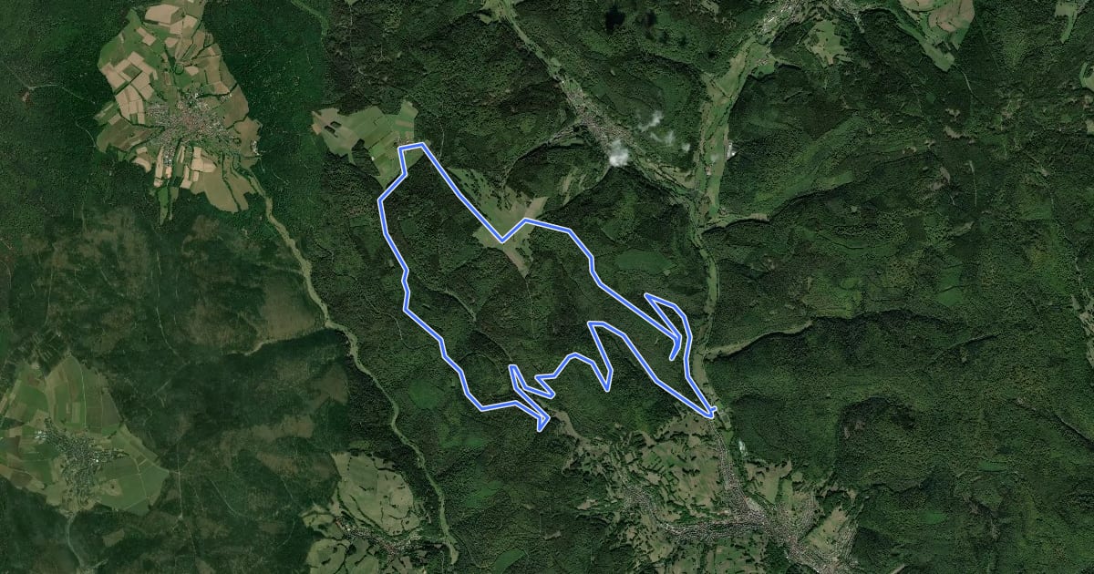 Маршрут Bikewald.de Route 5 на спутниковом снимке
