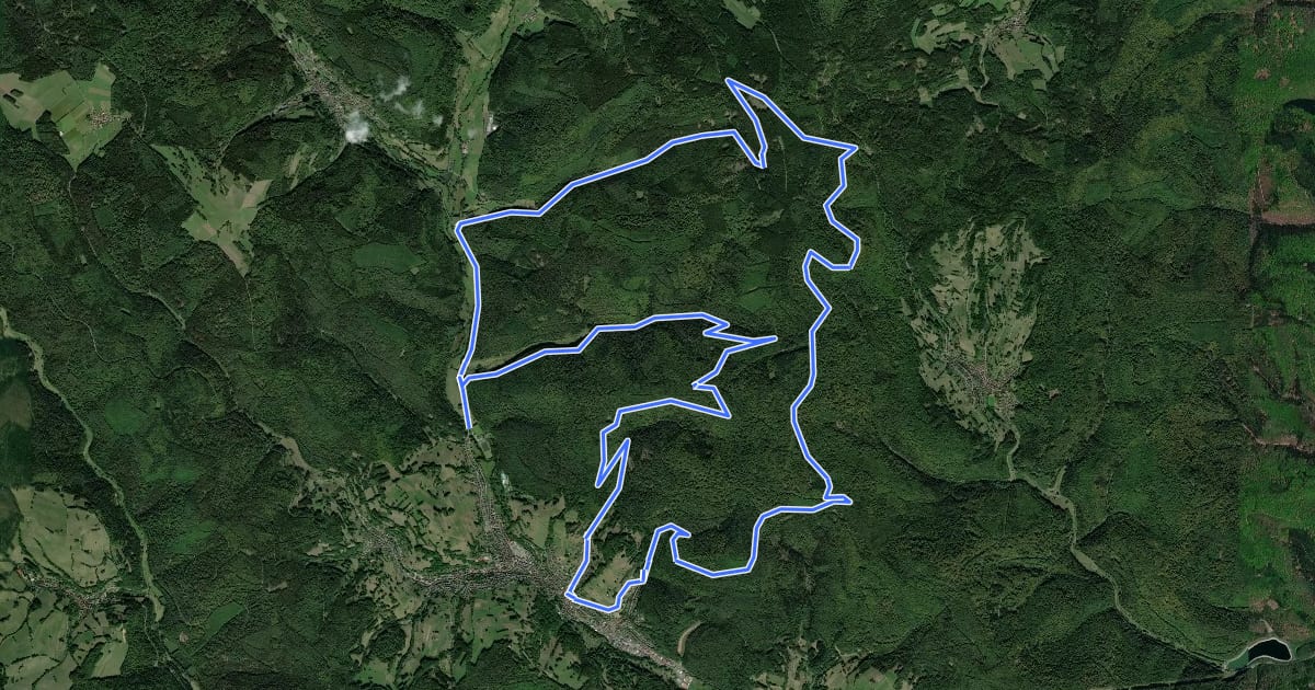 Маршрут Bikewald.de Route 7 на спутниковом снимке