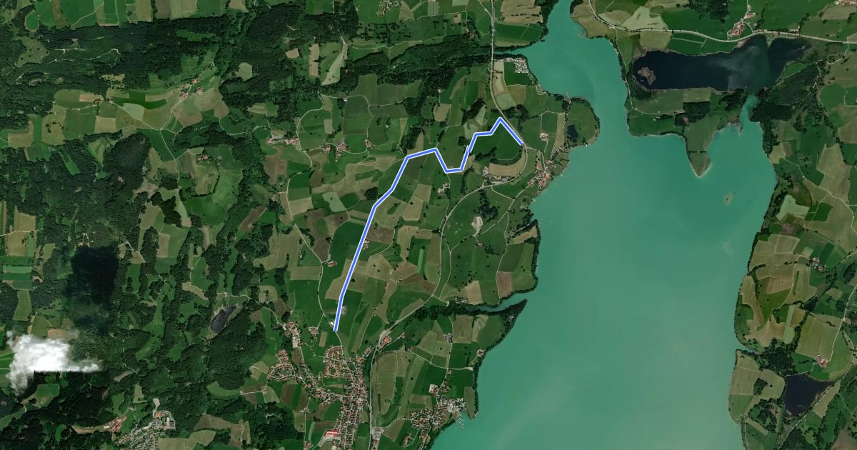 Маршрут Bilderbuchwanderung am Forggensee на спутниковом снимке