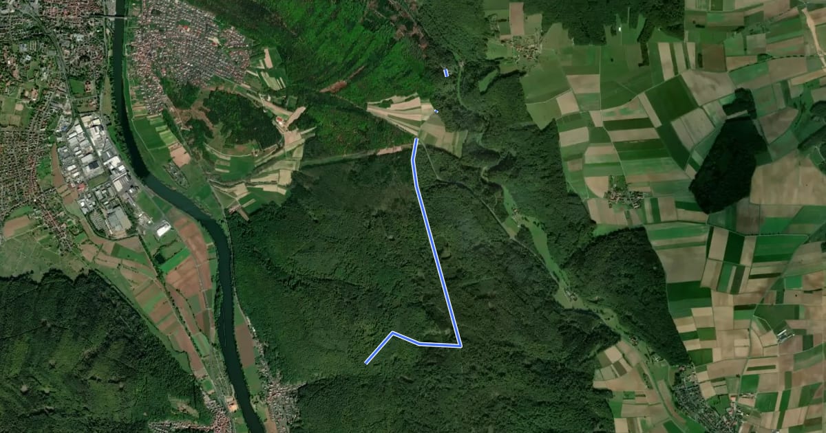 Маршрут Bildhäuschen-Weg Maria-Buchen - Pflochsbach на спутниковом снимке