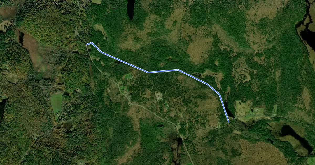 Маршрут Billings Trail:Tait Section на спутниковом снимке