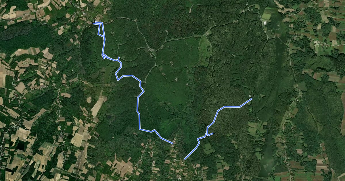 Маршрут Bilogorska šetnica на спутниковом снимке
