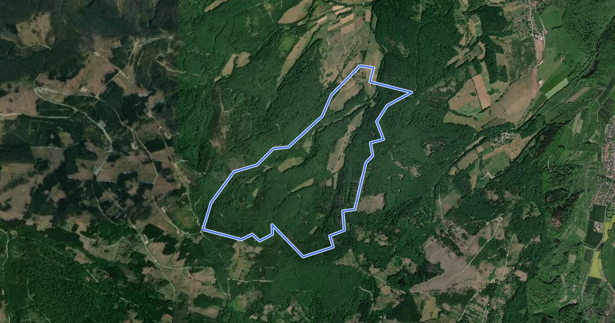 Маршрут Bilsteinrundweg на спутниковом снимке