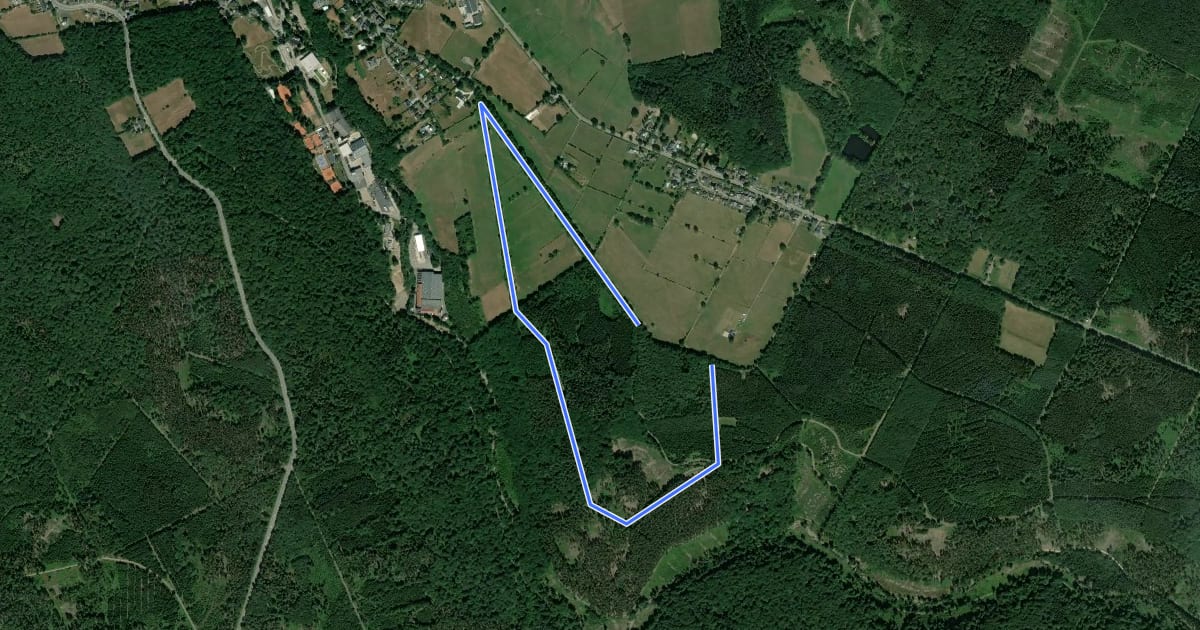 Маршрут Binster - 3 Km Orange на спутниковом снимке