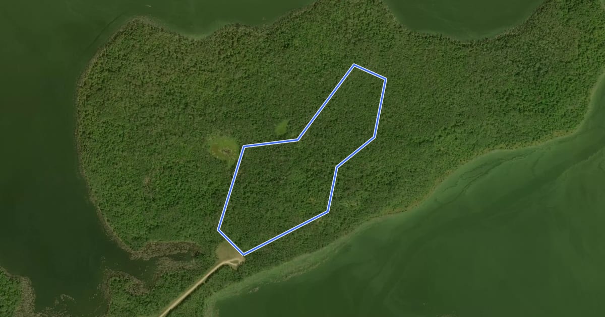 Маршрут Birch Forest Trail на спутниковом снимке