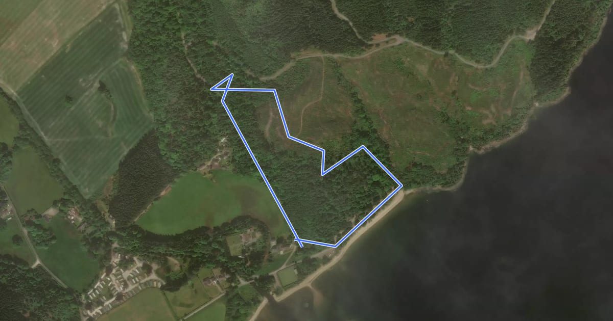 Маршрут Birchwood Trail на спутниковом снимке