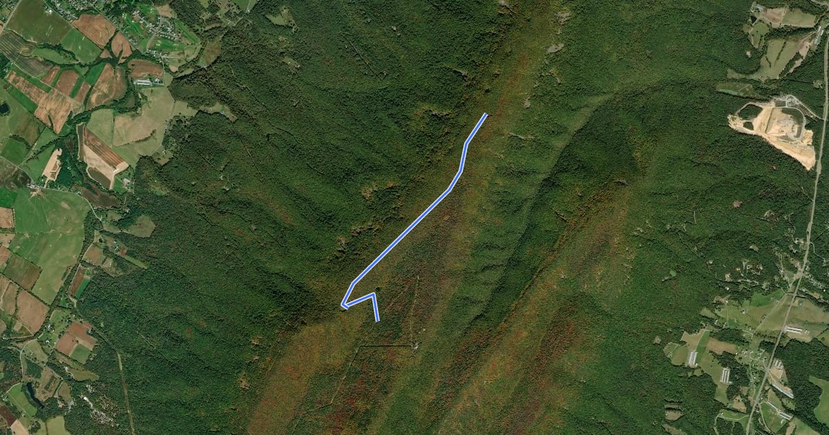 Маршрут Bird Knob Trail на спутниковом снимке