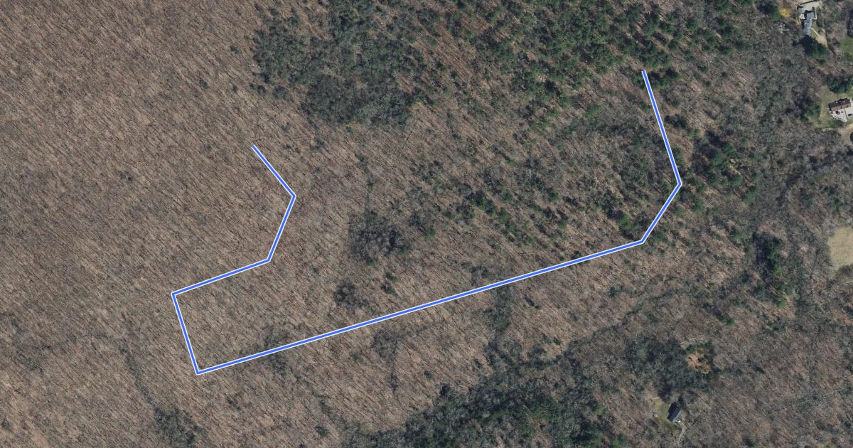 Маршрут Bird Loop Trail на спутниковом снимке
