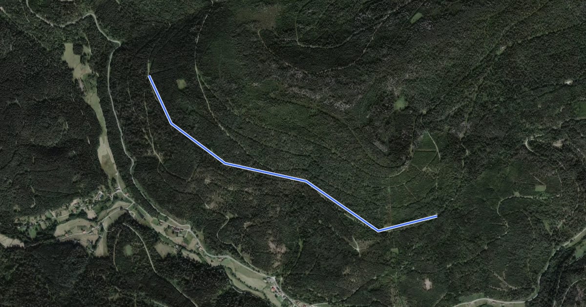 Маршрут Birkenaustraße - Hohkopf на спутниковом снимке