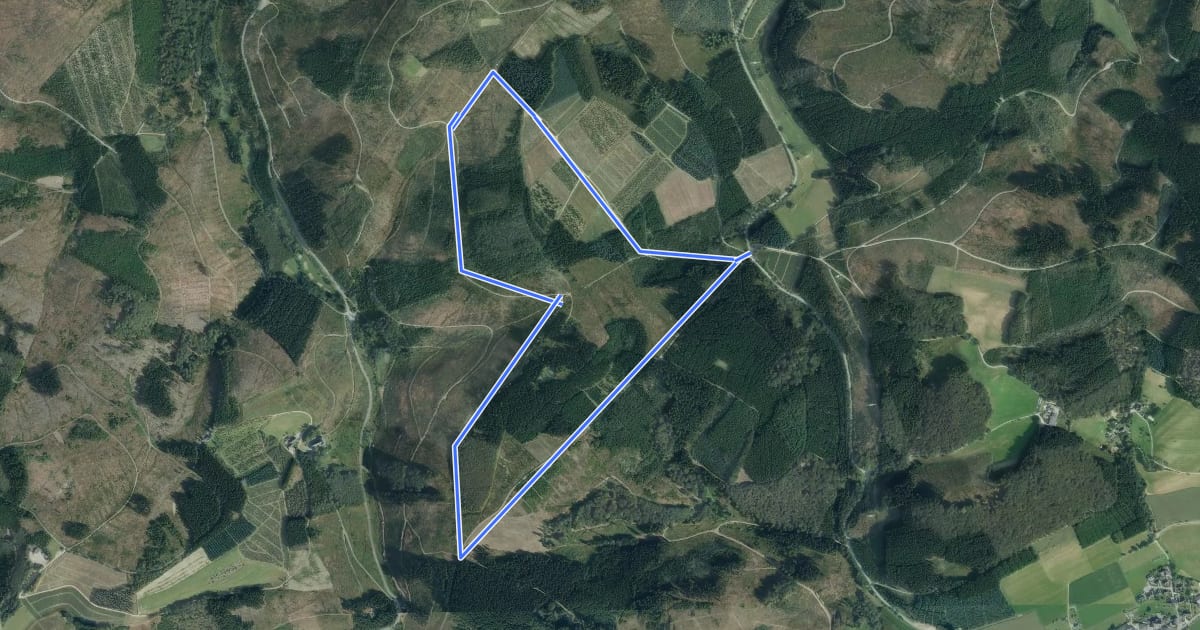 Маршрут Birkenbrauck Rundwanderweg A1 на спутниковом снимке
