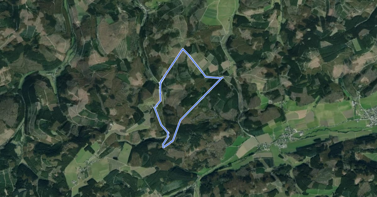 Маршрут Birkenbrauck Rundwanderweg A2 на спутниковом снимке