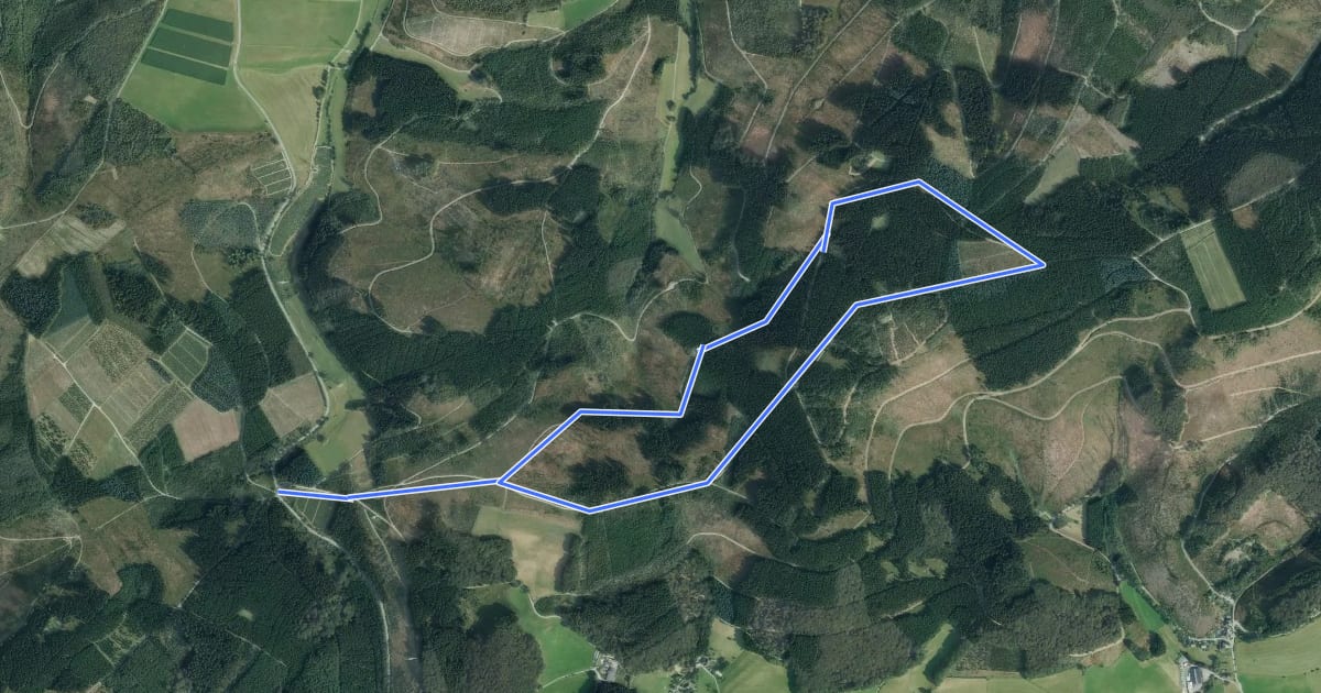 Маршрут Birkenbrauck Rundweg A3 на спутниковом снимке