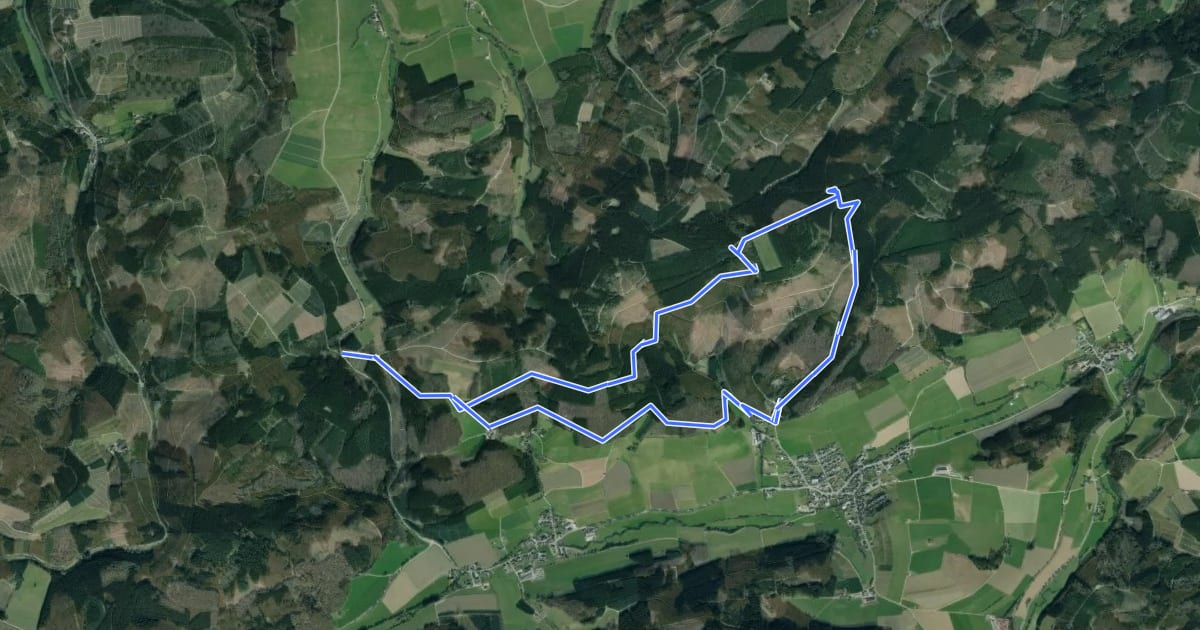 Маршрут Birkenbrauck Rundweg A4 на спутниковом снимке
