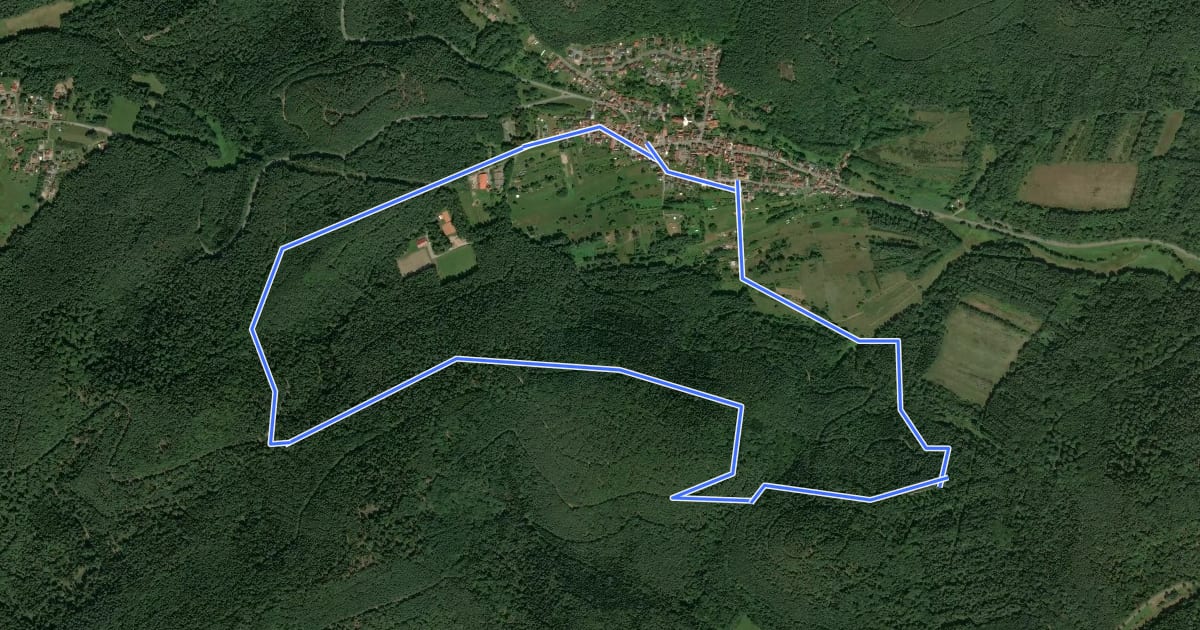 Маршрут Birkenhördter Mösigweg на спутниковом снимке